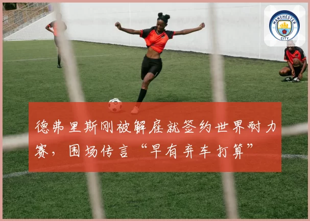 德弗里斯刚被解雇就签约世界耐力赛，围场传言“早有弃车打算”