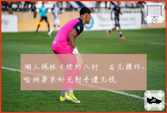 湖人佩林卡续约八村塁后无操作，哈姆要求补充射手遭无视