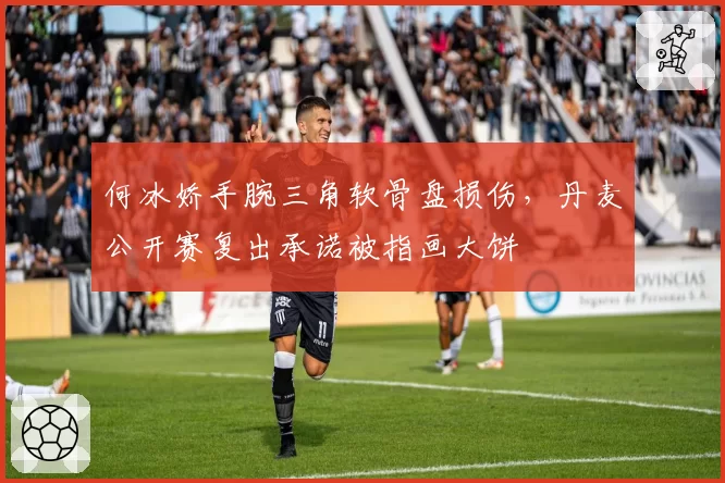 何冰娇手腕三角软骨盘损伤,丹麦公开赛复出承诺被指画大饼